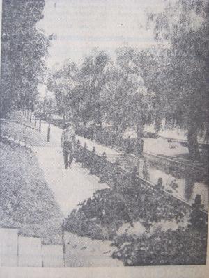 Прикрепленное изображение: IMG_3159.JPG